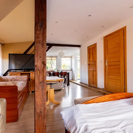 Płowce 24 Guest Spots *