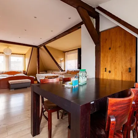 Płowce 24 Guest Spots