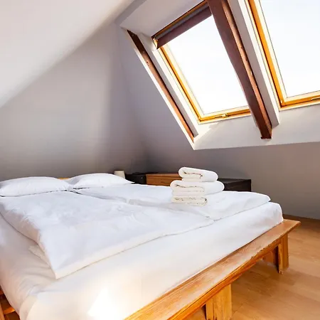 Płowce 24 Guest Spots *