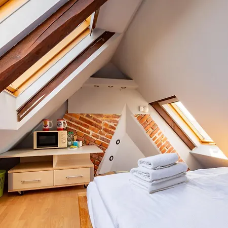 Płowce 24 Guest Spots Apartament