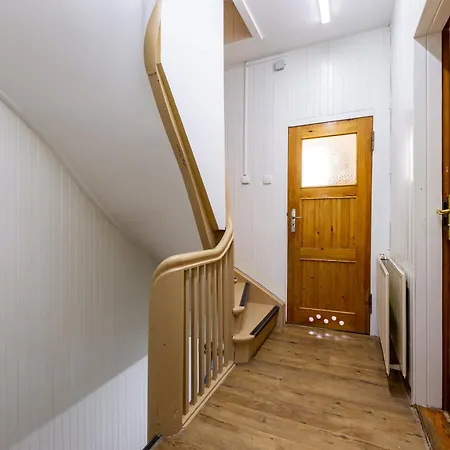 Plowce 24 Guest Spots By Bookinghost * Danzica