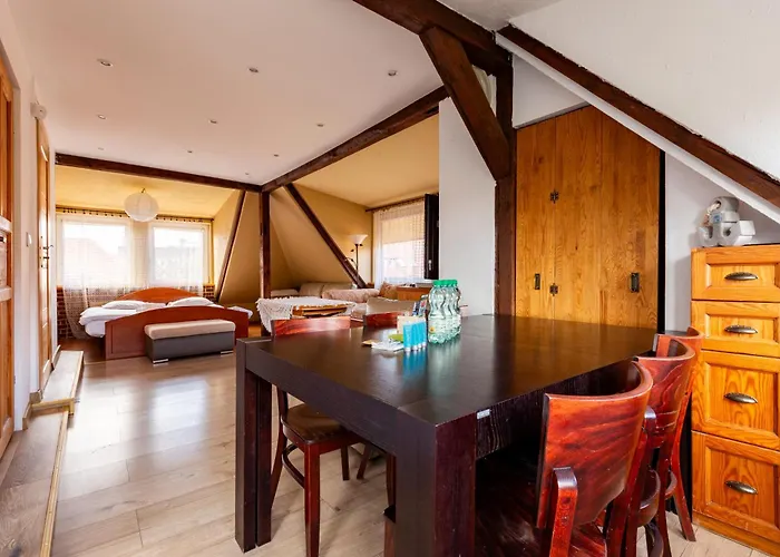 Plowce 24 Guest Spots By Bookinghost