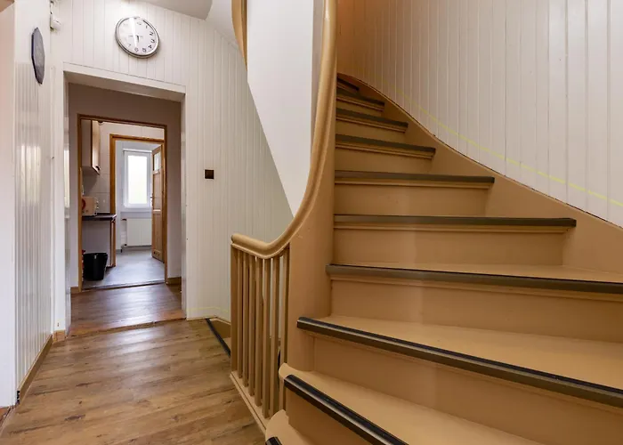 Plowce 24 Guest Spots By Bookinghost